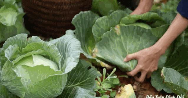 断层顶流复出，居然变硅胶脸?