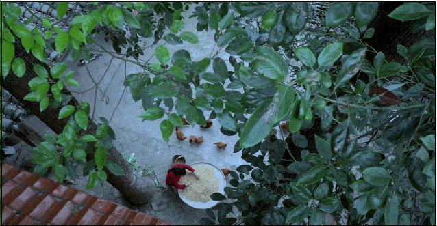 断层顶流复出，居然变硅胶脸?