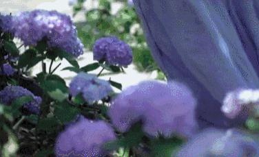 断层顶流复出，居然变硅胶脸?