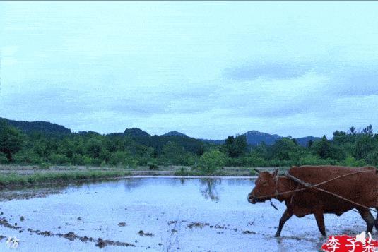 断层顶流复出，居然变硅胶脸?