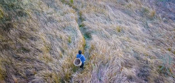 断层顶流复出，居然变硅胶脸?