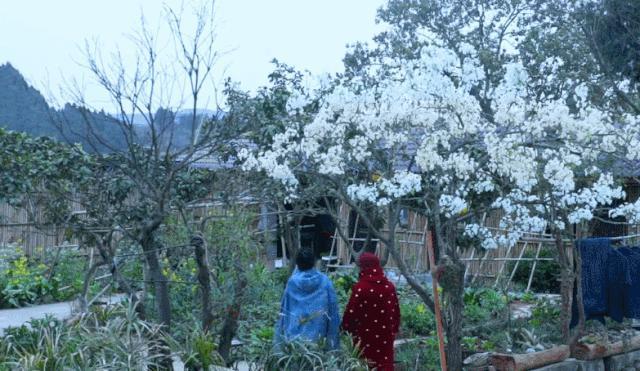 断层顶流复出，居然变硅胶脸?