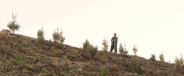 爆火年代剧，看完被戳瞎！