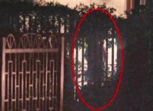 他俩，悄悄把婚离了？