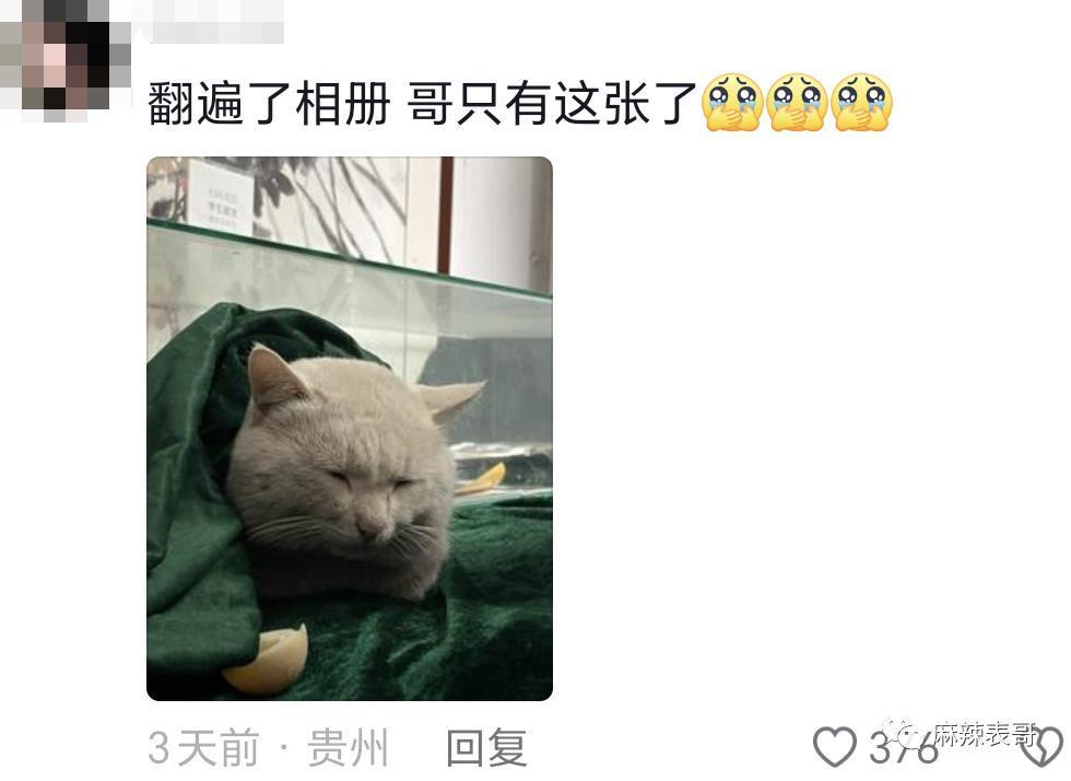 这个恋情瓜的后续好奇葩…