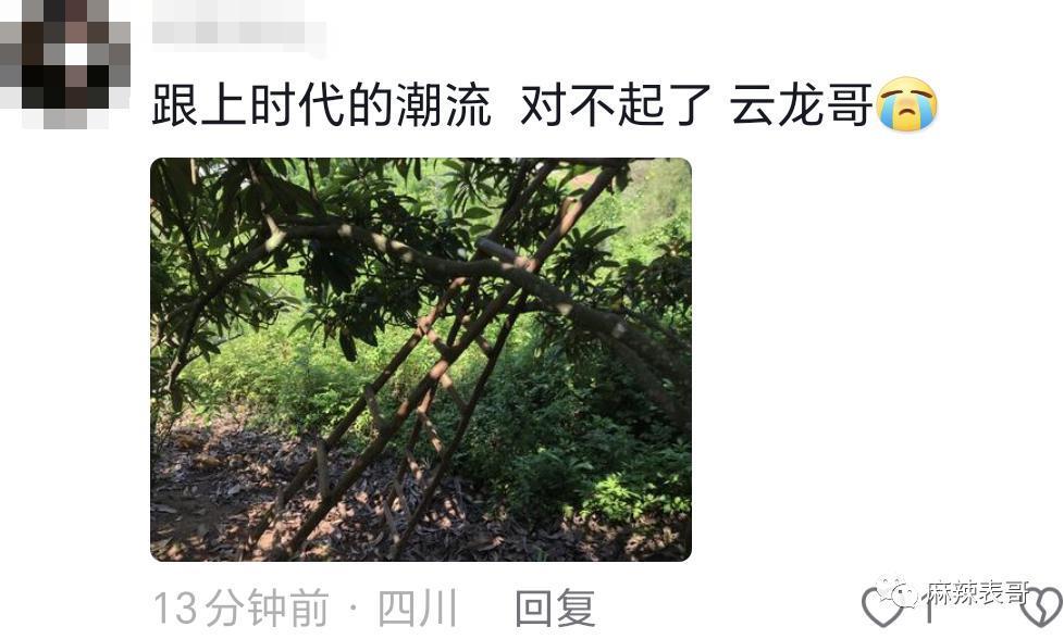 这个恋情瓜的后续好奇葩…