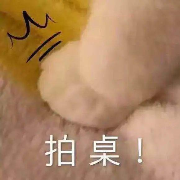 女明星的事业靠离婚之后复婚