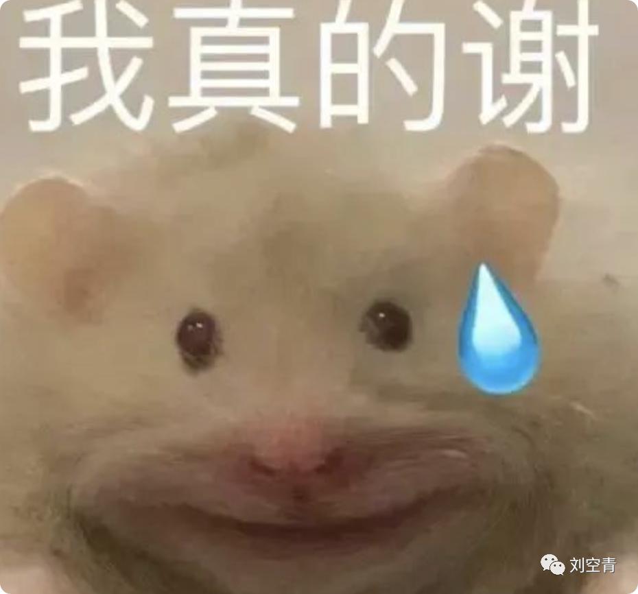 怎么感觉她要翻车啊……