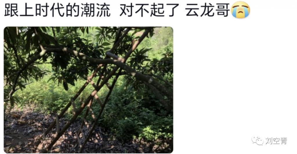 怎么感觉她要翻车啊……