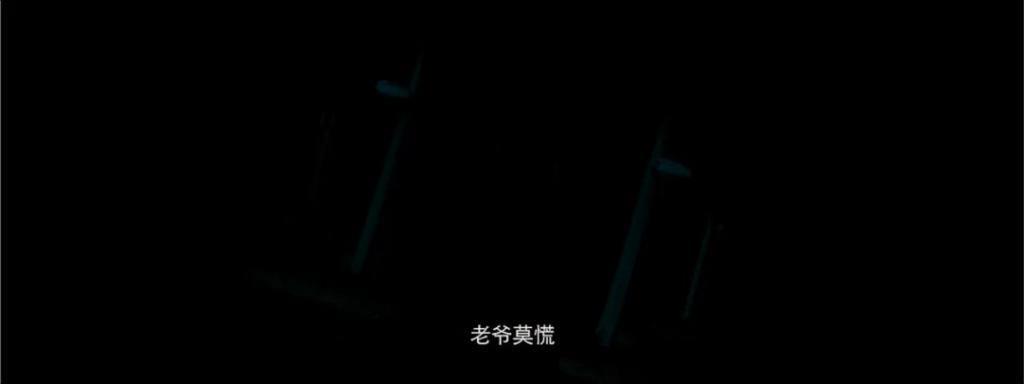 浓眉大眼的，演的什么鬼东西