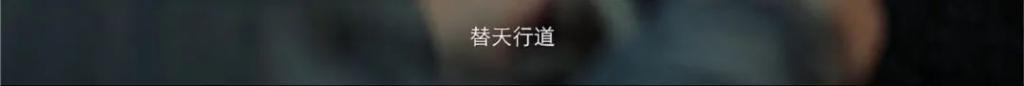浓眉大眼的，演的什么鬼东西