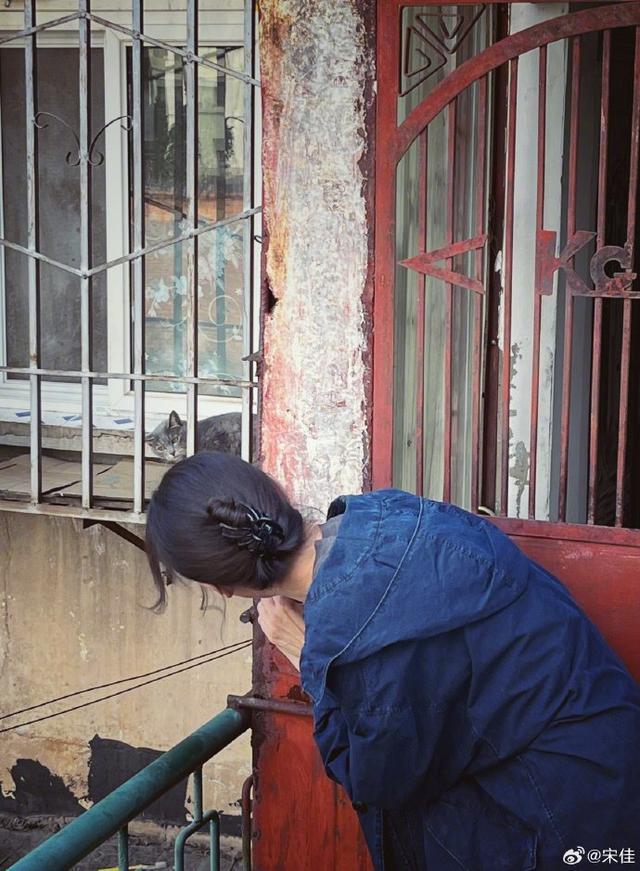 宋佳说女生之间不只有嫉妒 分享日见趣闻心境稳定强大