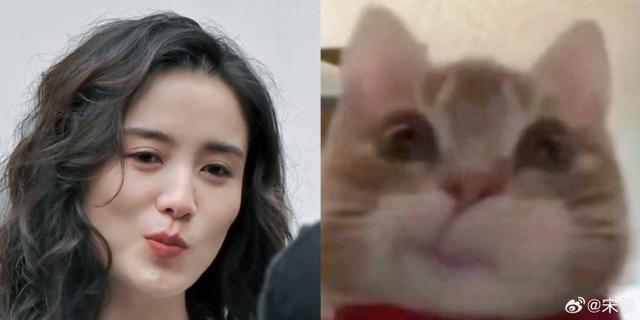 宋佳说女生之间不只有嫉妒 分享日见趣闻心境稳定强大