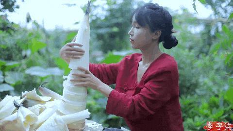 好久不见李子柒，长相变样了？