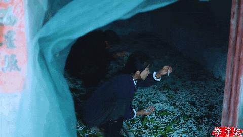好久不见李子柒，长相变样了？
