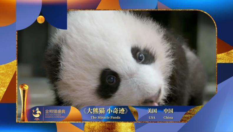 重磅揭晓！首届金熊猫奖获奖名单来了