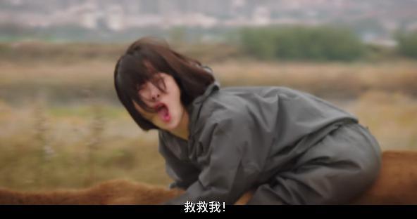 我打赌，它不是限制级也能赢