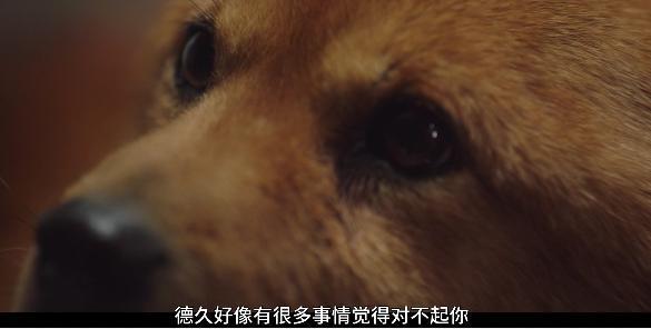 我打赌，它不是限制级也能赢