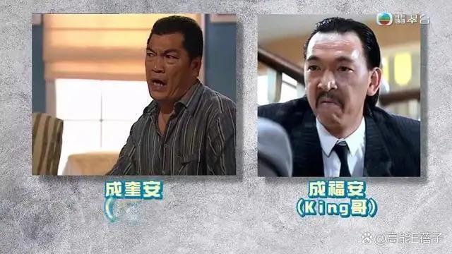 “大傻”成奎安儿子涉嫌藏大麻被捕，其子一年半前车祸离世