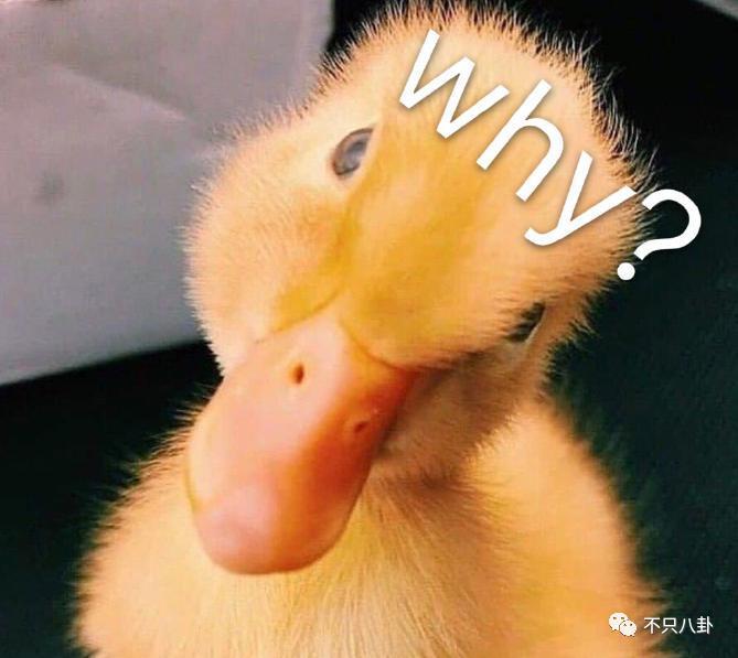 公开点名大骂丈夫前任！这对夫妻的问题怎么还没解决？