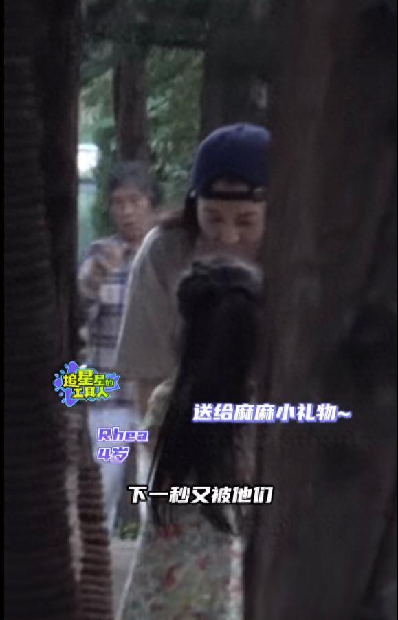 高圆圆赵又廷合体接娃！女儿紧抓爸爸手不放，活泼可爱颜值高