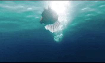 啊，我那永远在颜巅的姐！