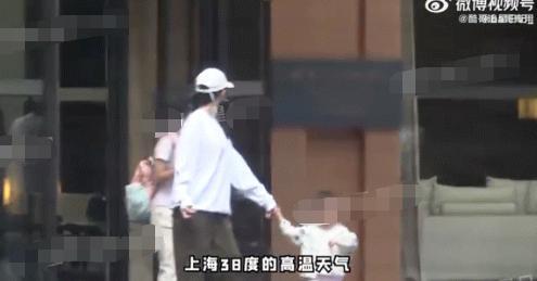 啊？三胎生娃，贤妻成生育工具？
