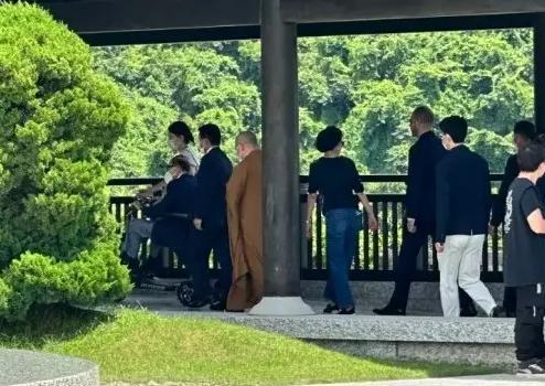 千亿大佬的红颜？她可不是凡角！