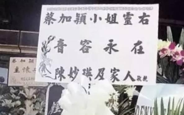 千亿大佬的红颜？她可不是凡角！