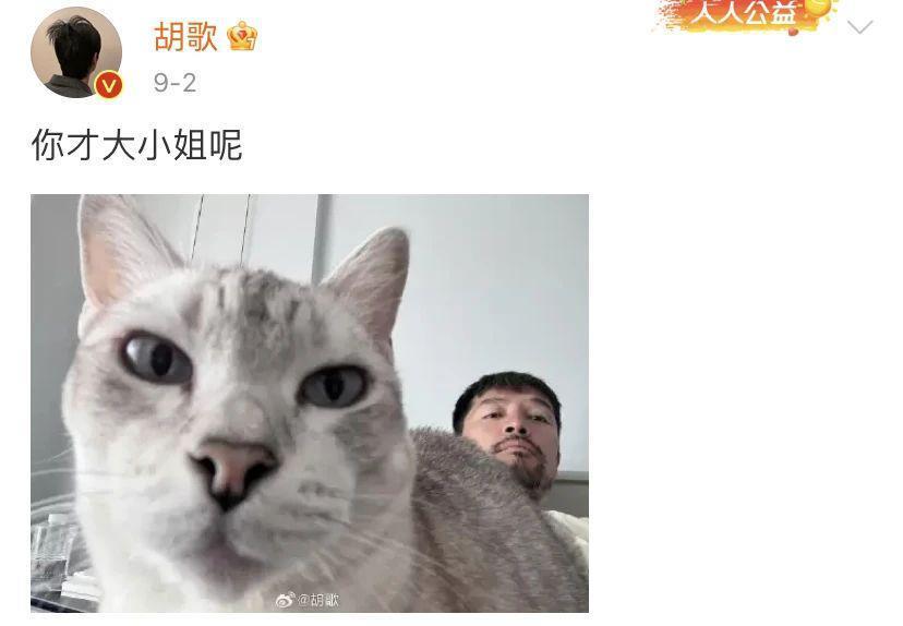 胡歌，再疯点没关系