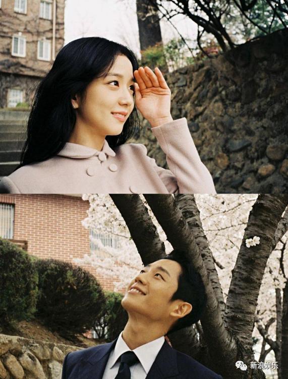 摇钱树要没了，怎么会不慌