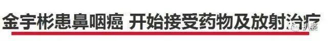捡回一条命，真好啊。