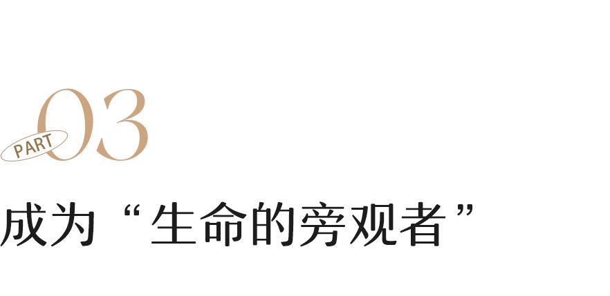 封杀杨丽萍的闹剧，该停了
