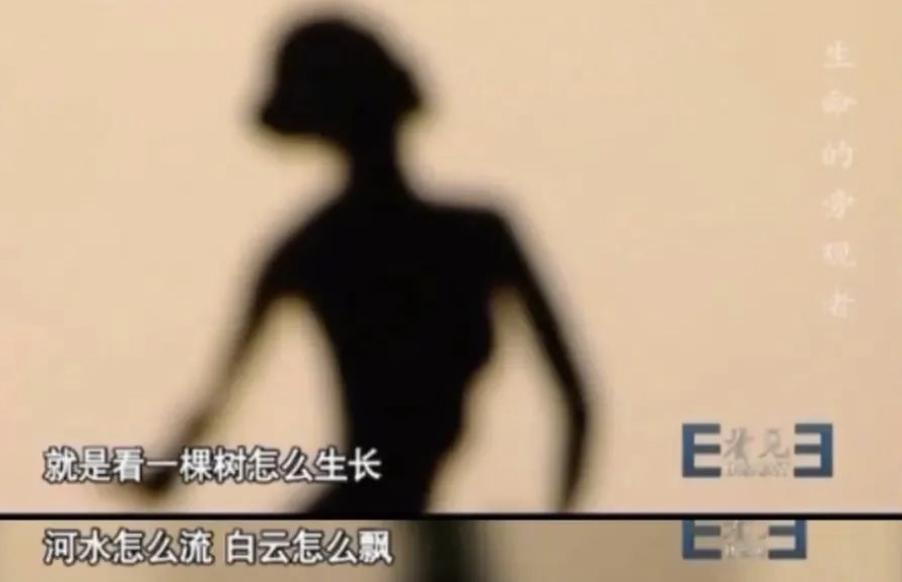 封杀杨丽萍的闹剧，该停了