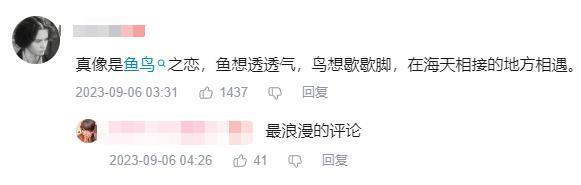 全网围观这对男女，太炸裂了