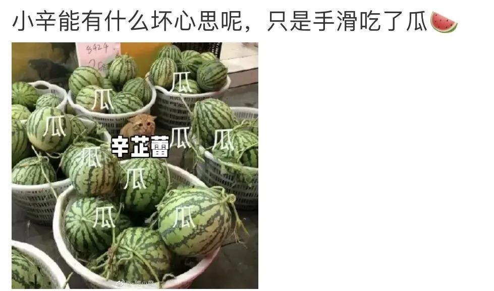 还记得《如懿传》里的嘉妃辛芷蕾吗？她去花少5了