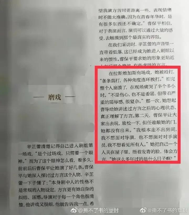 还记得《如懿传》里的嘉妃辛芷蕾吗？她去花少5了