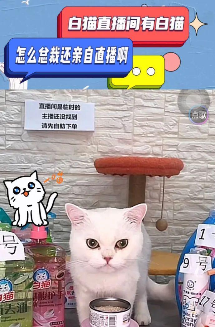 感谢李佳琦，捧红了她