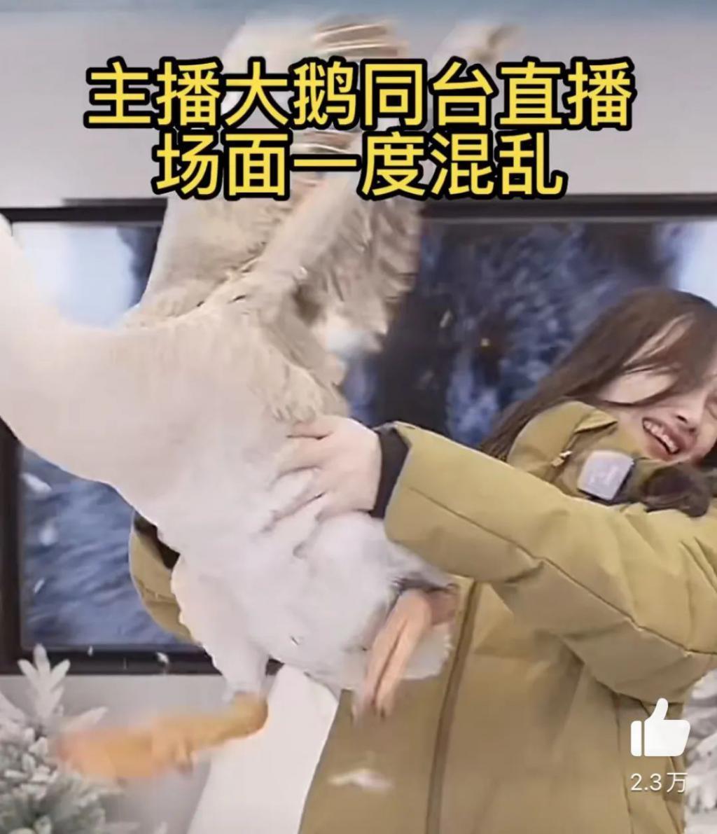 感谢李佳琦，捧红了她