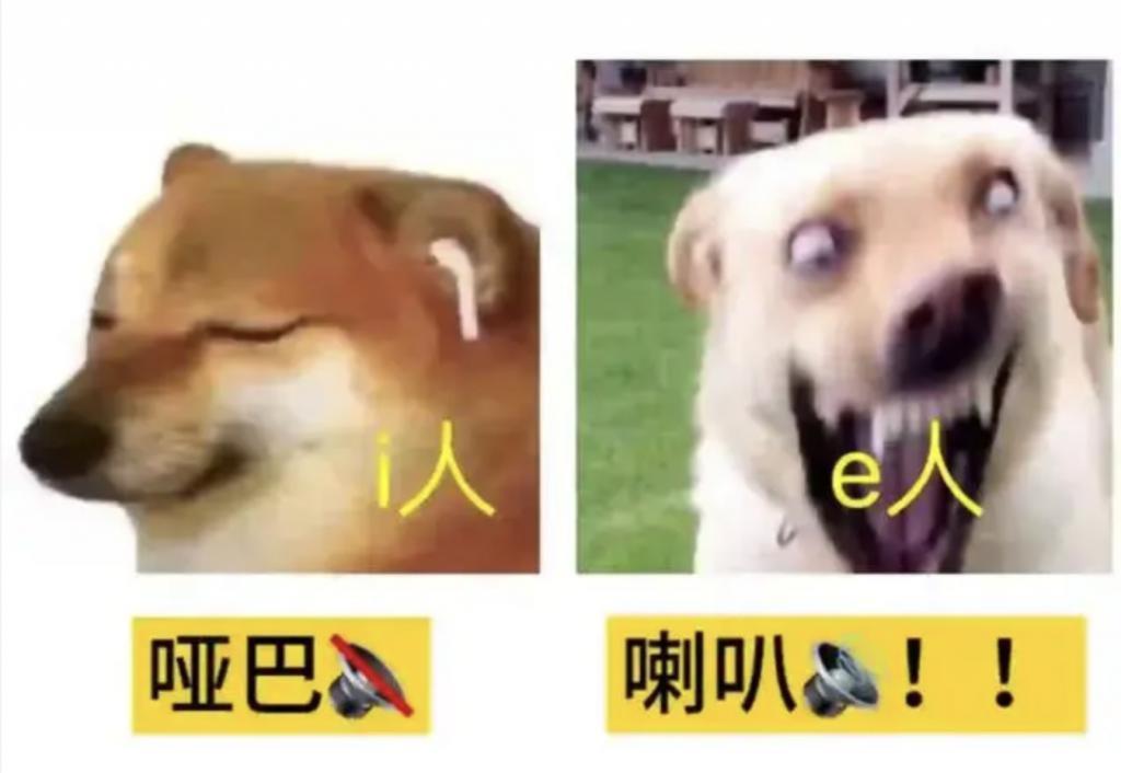 你说啥？他竟然是i人？