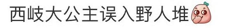 你说啥？他竟然是i人？