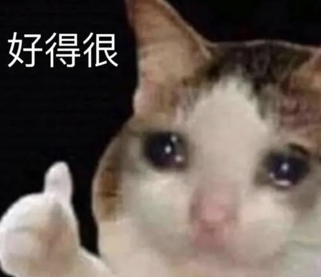你说啥？他竟然是i人？