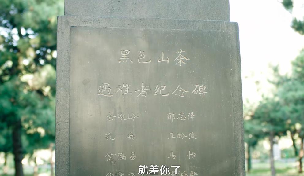 说倪妮是女版杨洋就有点过分了吧？