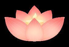 「刷题狂魔」陈都灵