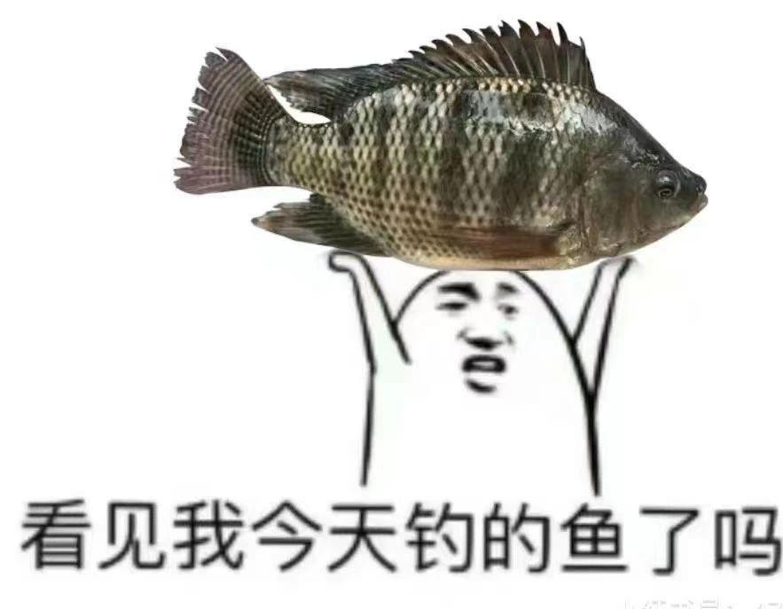 中年男和年轻人的钓鱼，差别在欲望含量