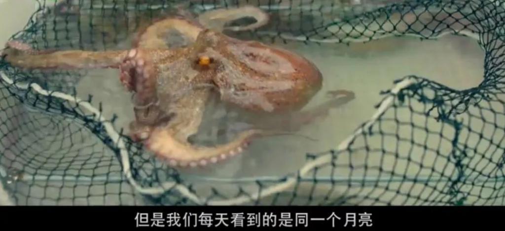 再扑下去，影后的观众缘怕是要败光了