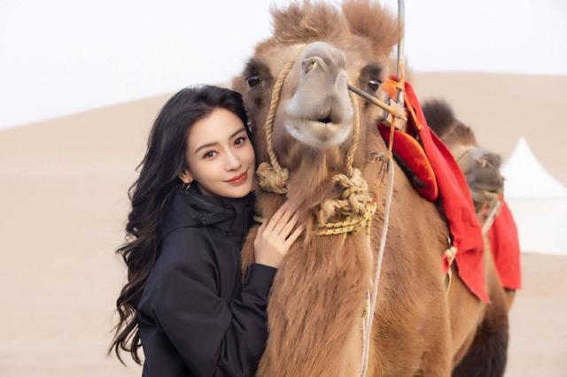 Angelababy亲自回应恋情 干净利落否认恋情传闻