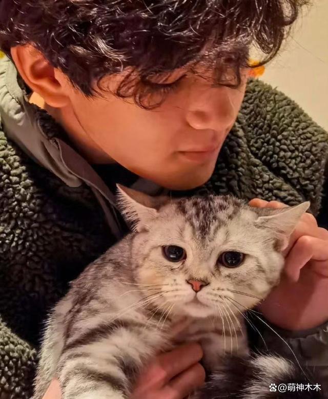 张智霖儿子惹众怒，做“眯眯眼”讽刺广州人？被批家庭教育失责