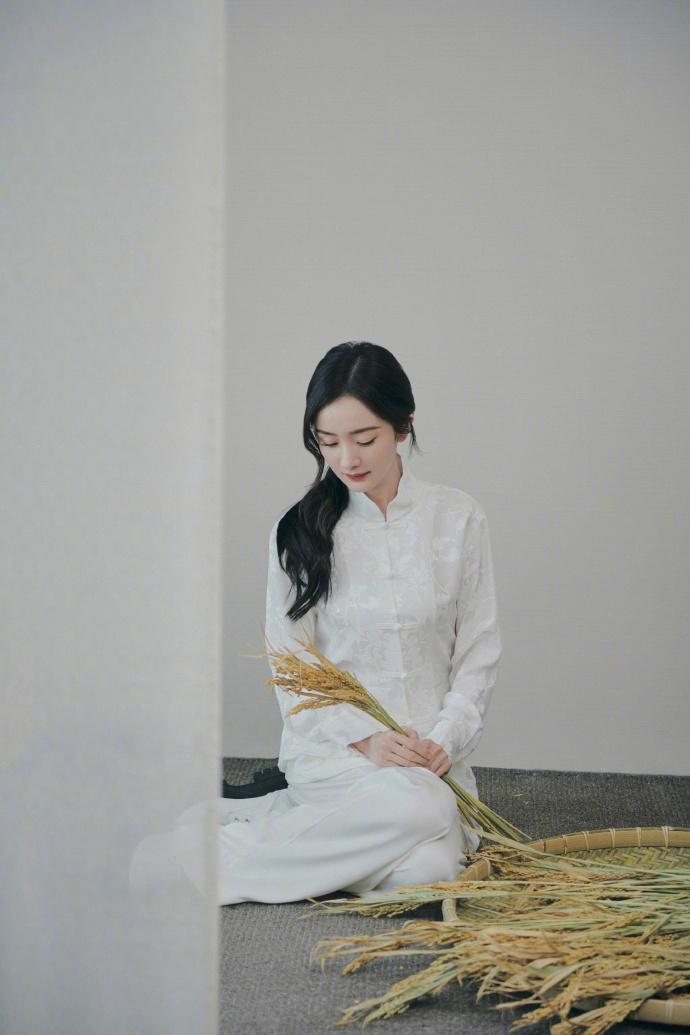 杨幂国风大片释出 气质恬静温婉动人