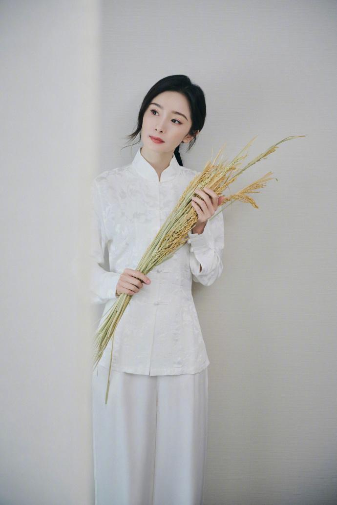杨幂国风大片释出 气质恬静温婉动人